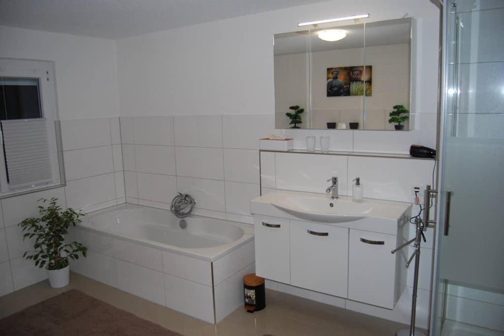 Gemuetliches Zuhause Fuehlen Apartment Singen Ngoại thất bức ảnh